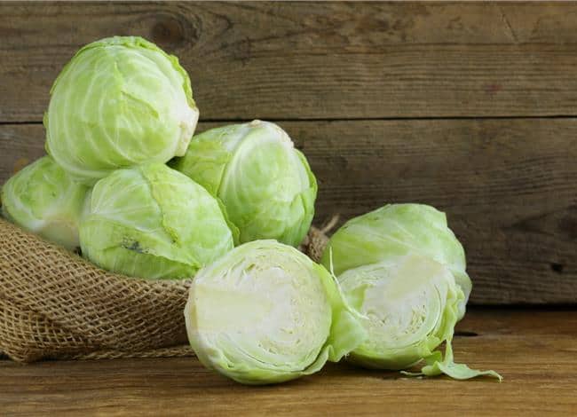Cabbage for Weight Loss & Diabetes, Japanese Insights
