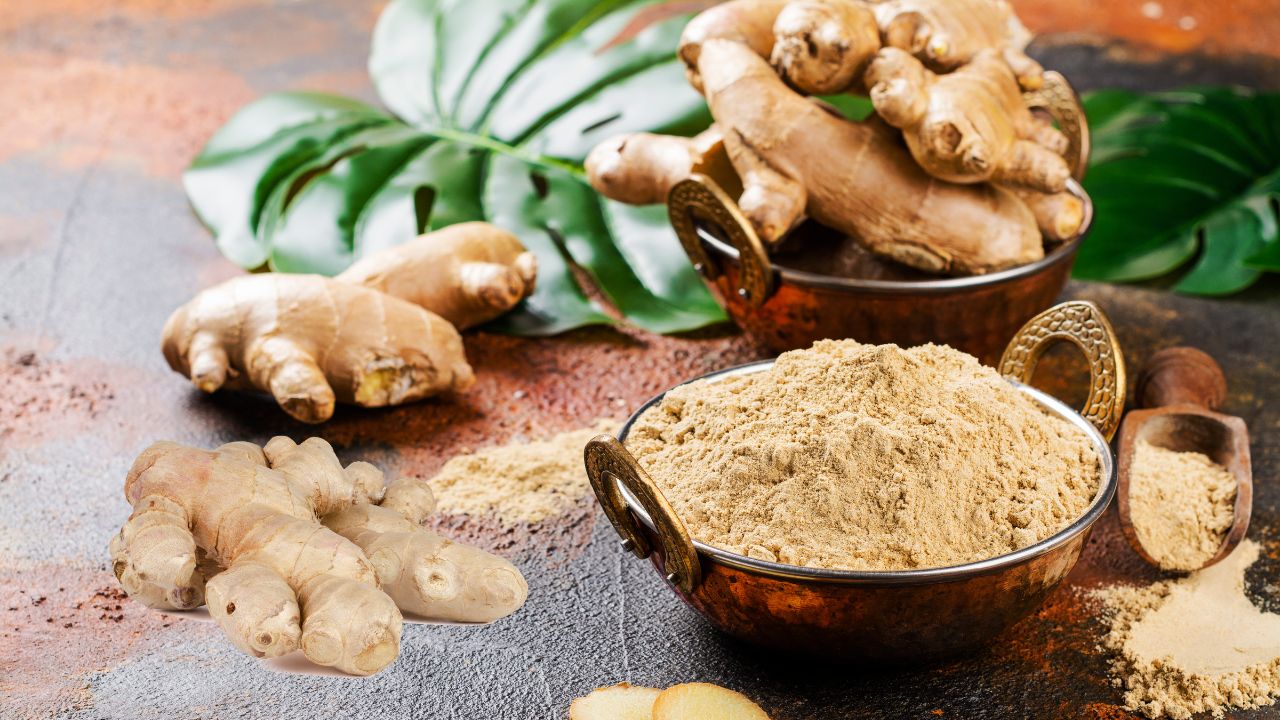 Ginger effects on Common Medications