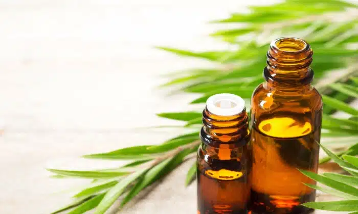 Tea Tree Oil: A Natural Remedy for Acne, Eczema, and Psoriasis